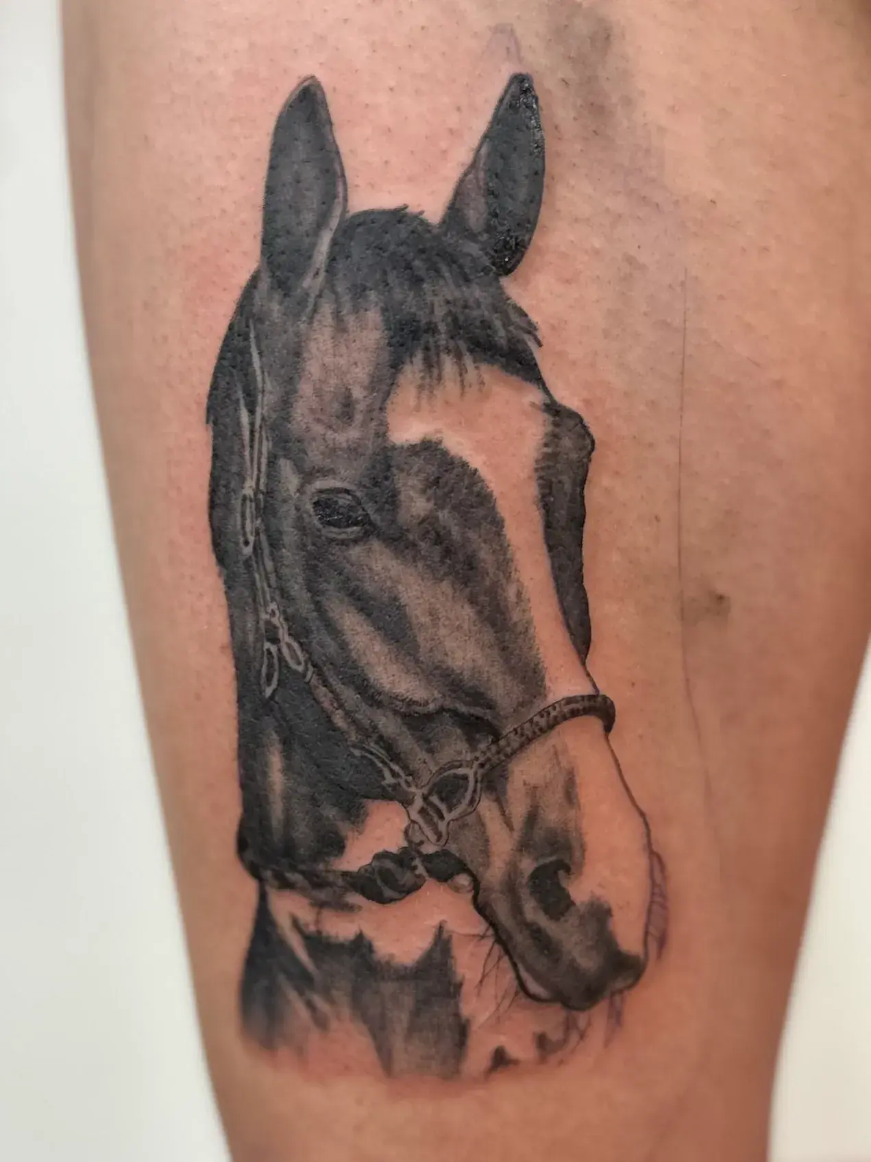 Tattoo by Mike Stapleton